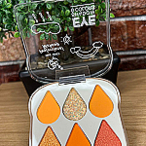 PALETA DE SOMBRA MAQUILLAJE PAL--DEF-6302 - Tienda Barber Clan