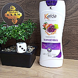 SHAMPOO MANGO-UVA 400ML - KARICIA KARICIA SHAMPOO Y CUIDADO DE EL CABELLO 7709247800604 - Tienda Barber Clan