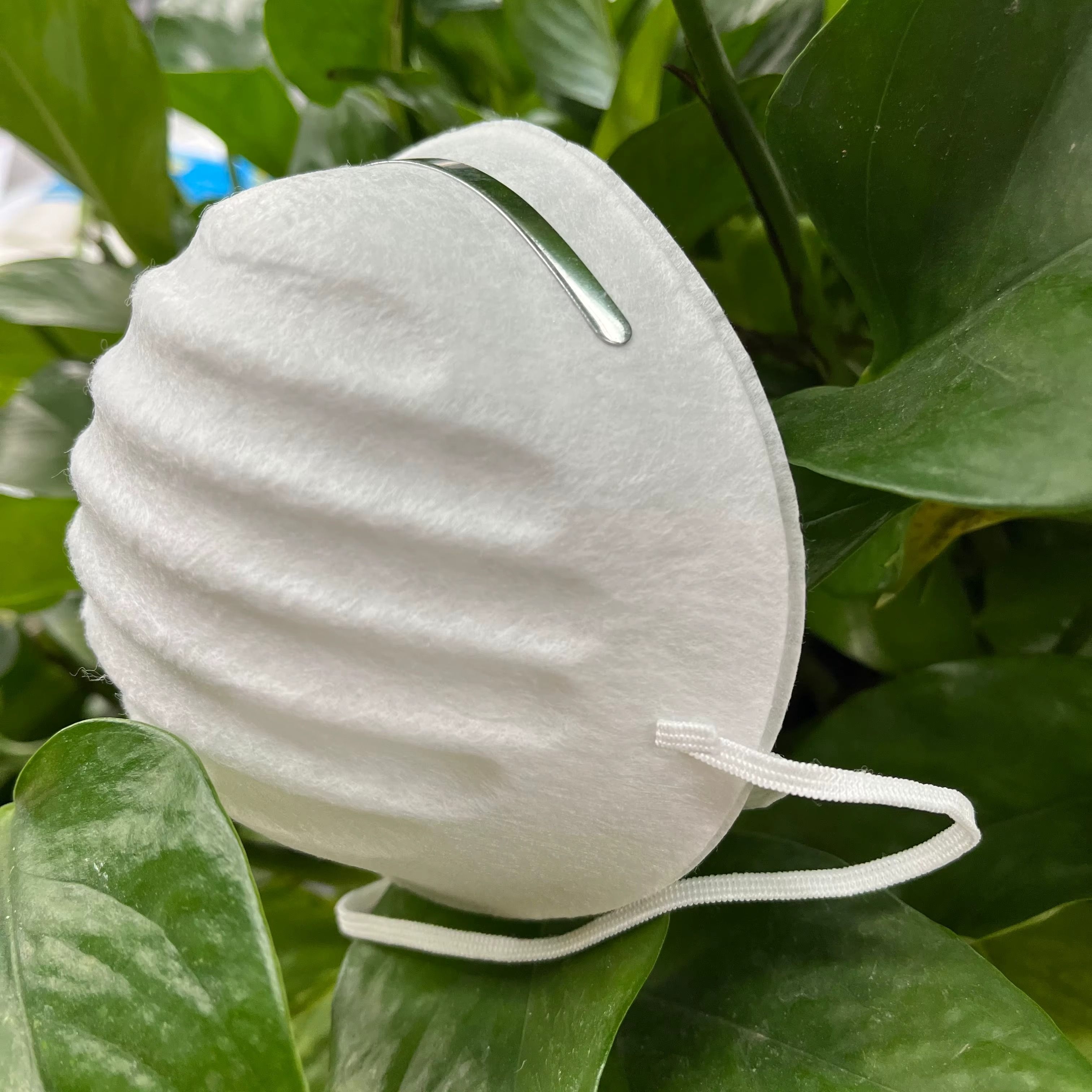 Disposable Dust Masks 2