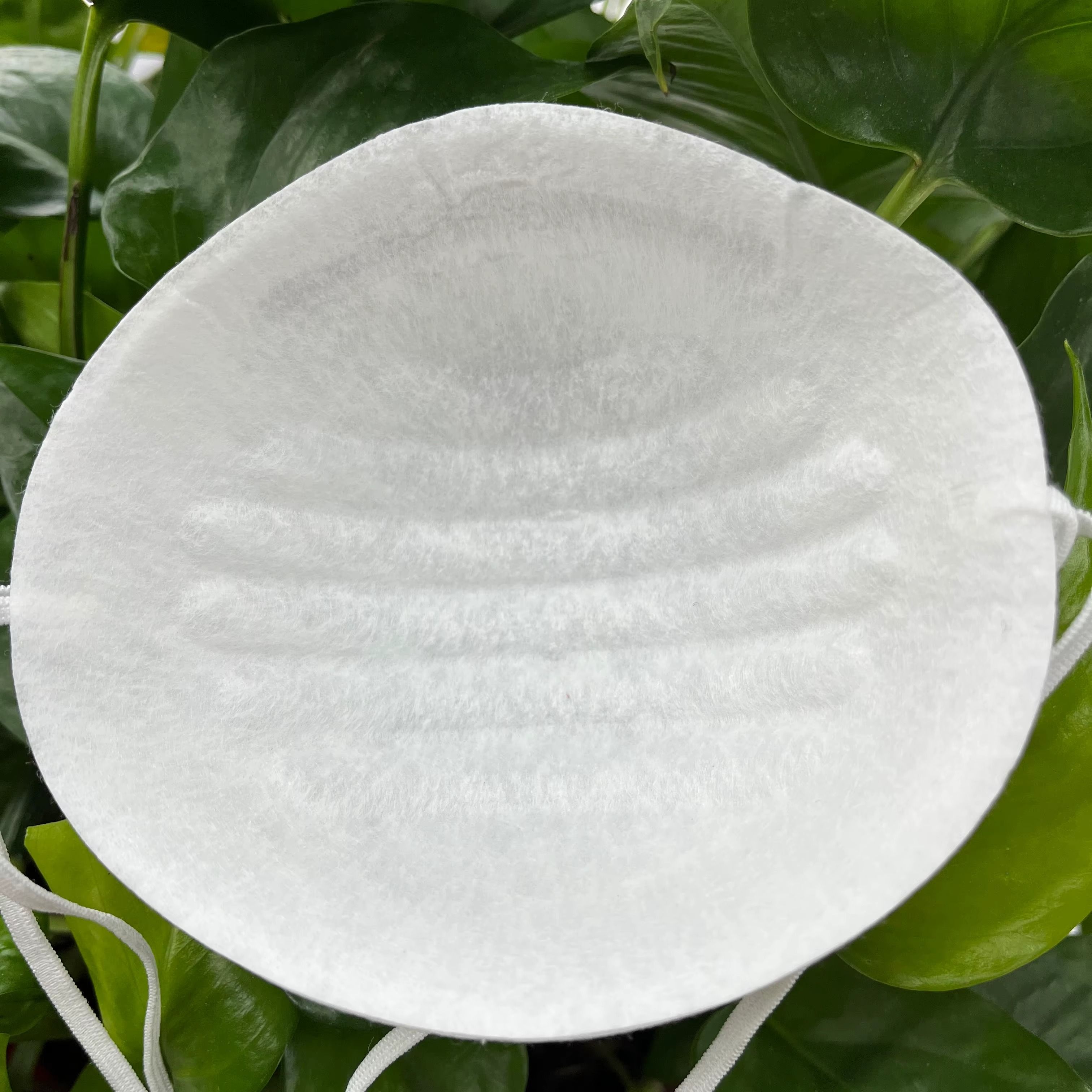 Disposable Dust Masks 3