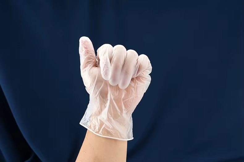 Disposable Vinyl Gloves thumbnail 5