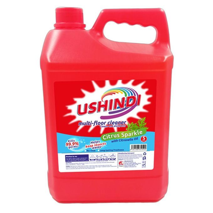 Floor Cleaner 1