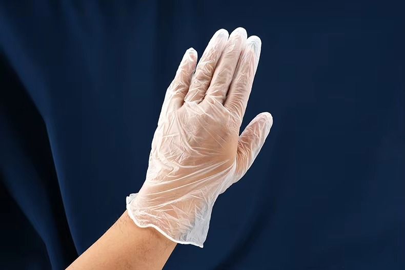 Food Grade Vinyl Gloves