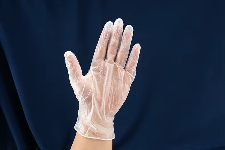 Vinyl Examination Gloves thumbnail 6