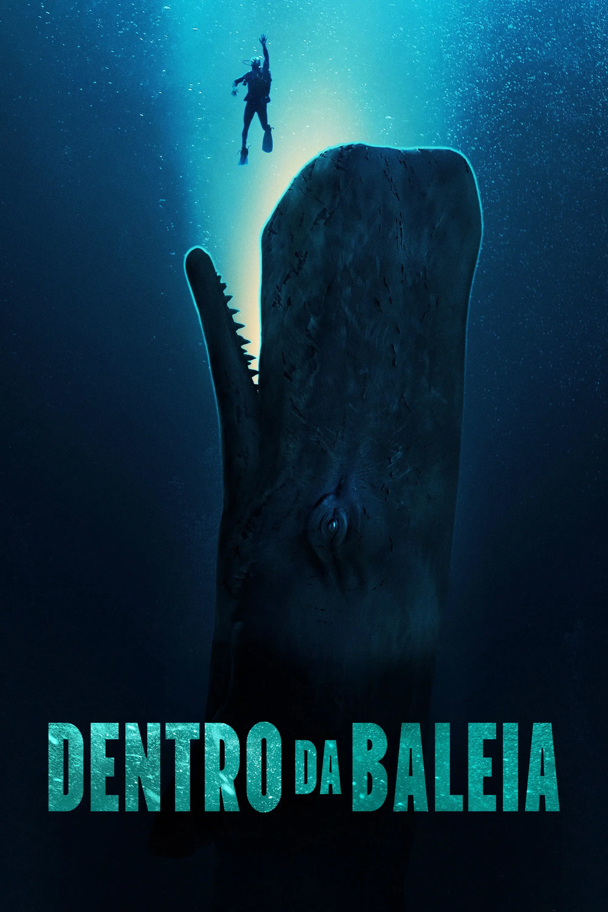 Capa de Dentro da Baleia