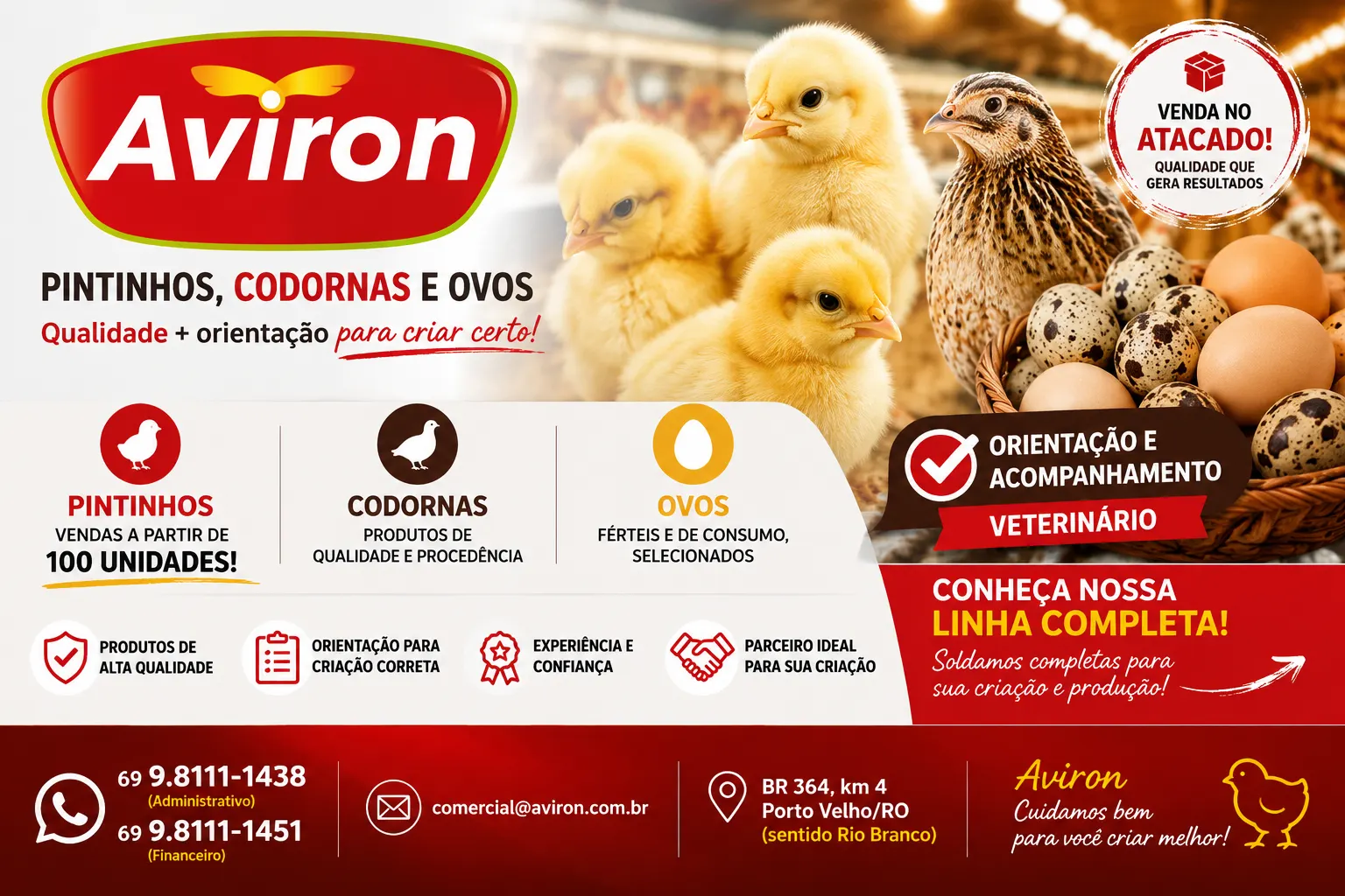 Aviron – Pintinhos, Codornas e Ovos
