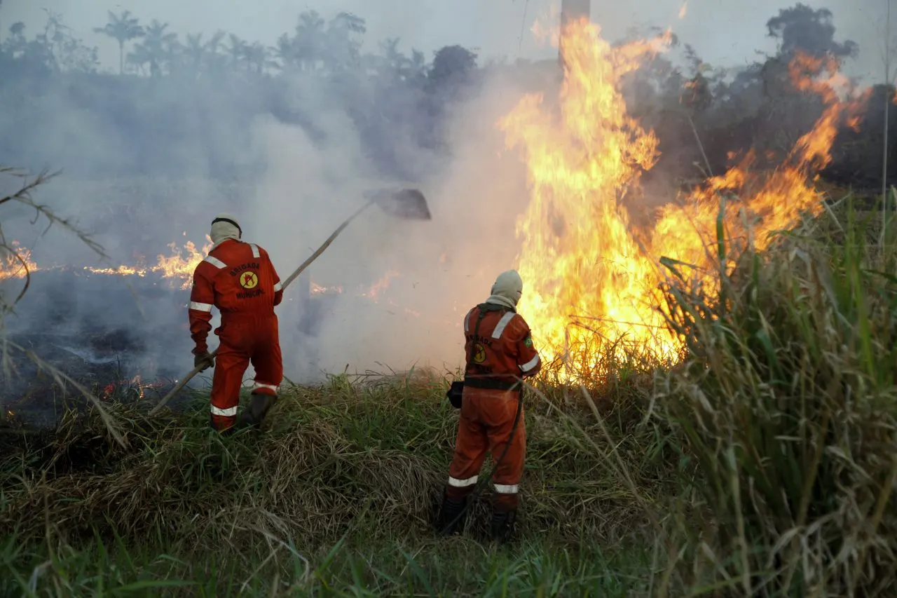 Parlamentares aprovam R$ 29,57 milhões para combate a incêndios em Rondônia
