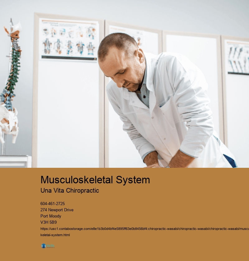 Musculoskeletal System