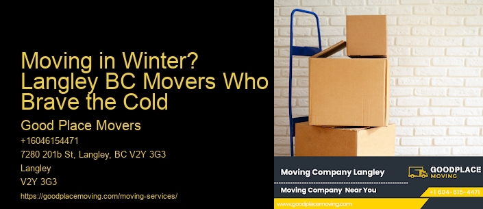 Moving in Winter? Langley BC Movers Who Brave the Cold