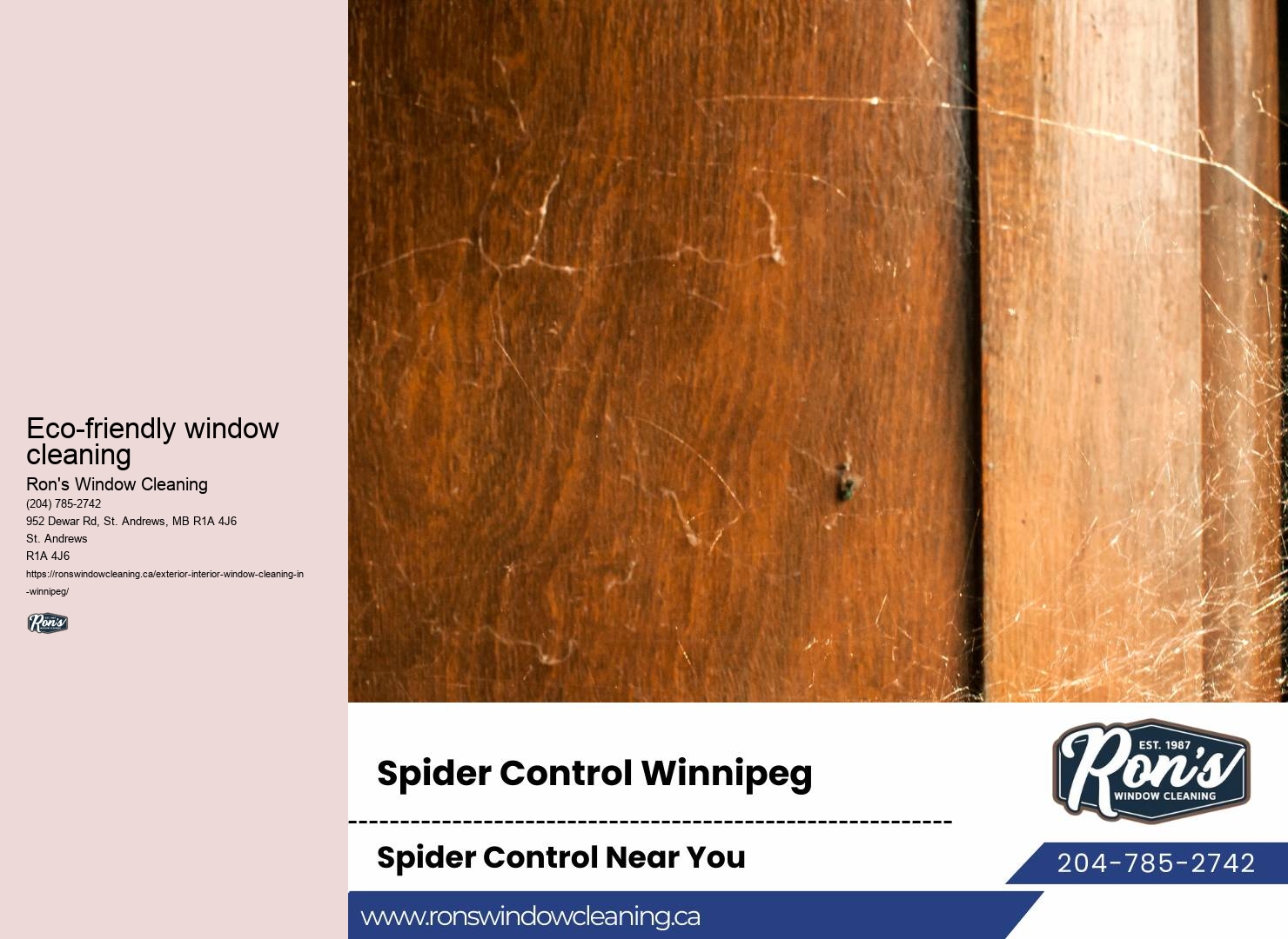 Eco-friendly window cleaning products