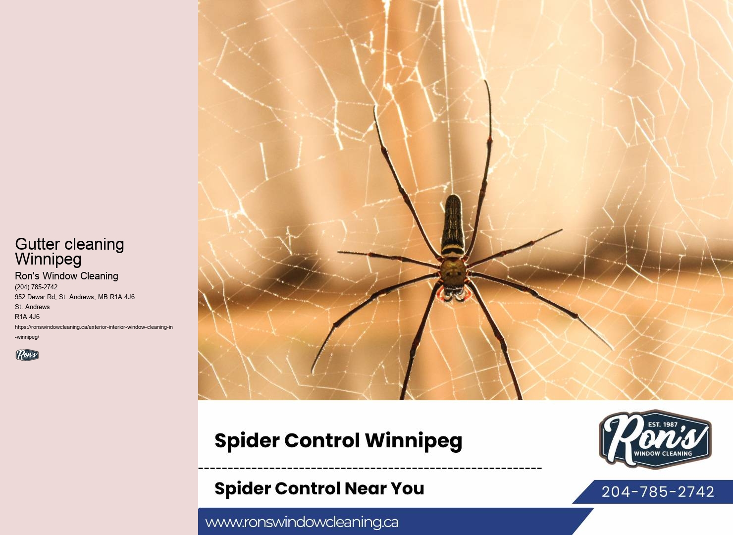 Window cleaning company professionalism Winnipeg