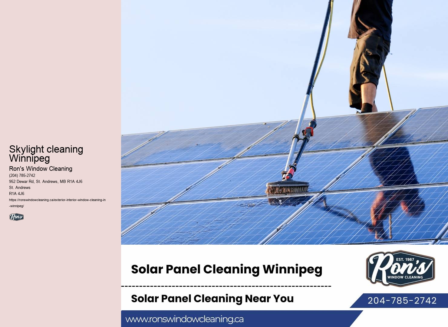 Professional eco-friendly window cleaners