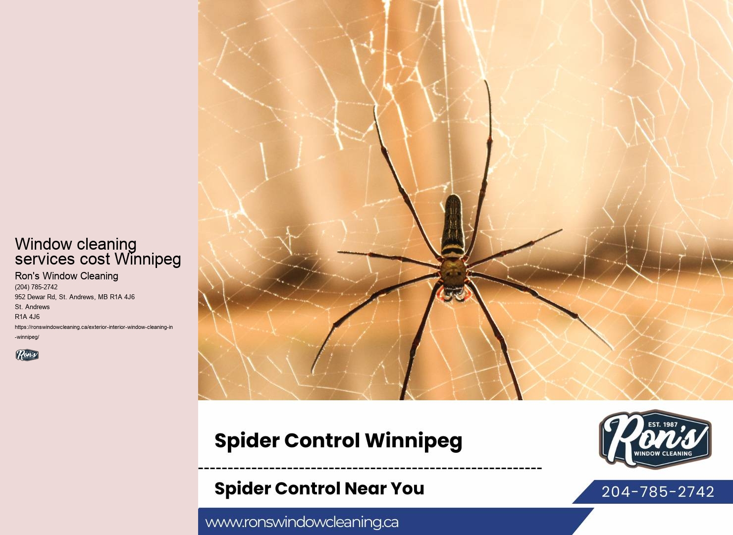 Sustainable window washing estimate Winnipeg