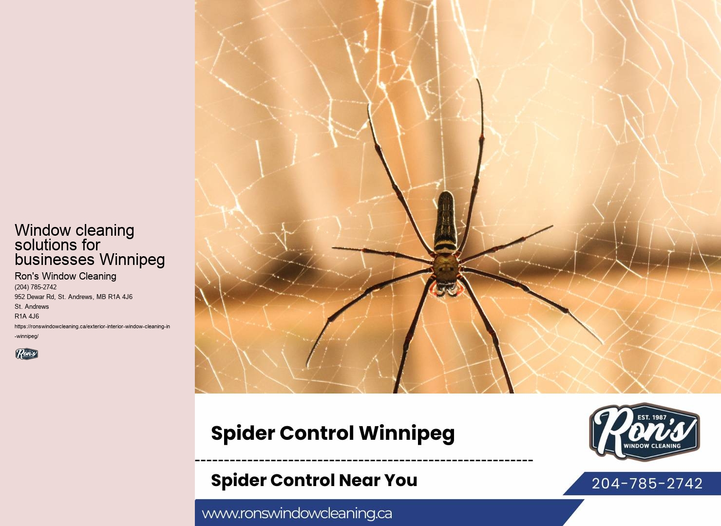 Eco-friendly window washing estimate Winnipeg