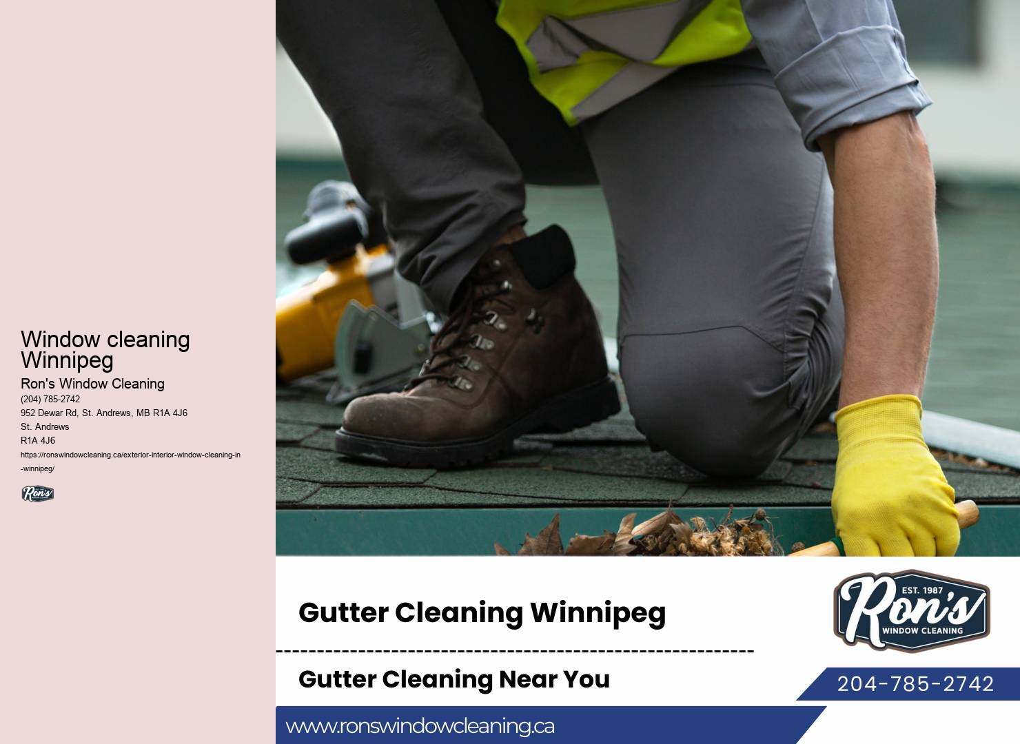 Professional squeegee window washing company