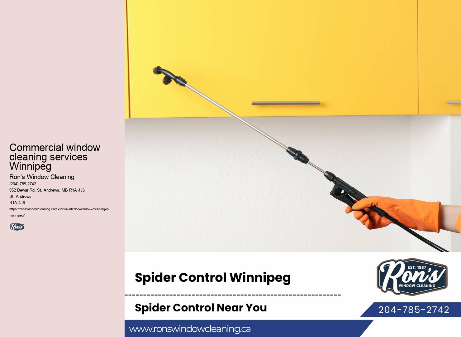 Window cleaning MB
