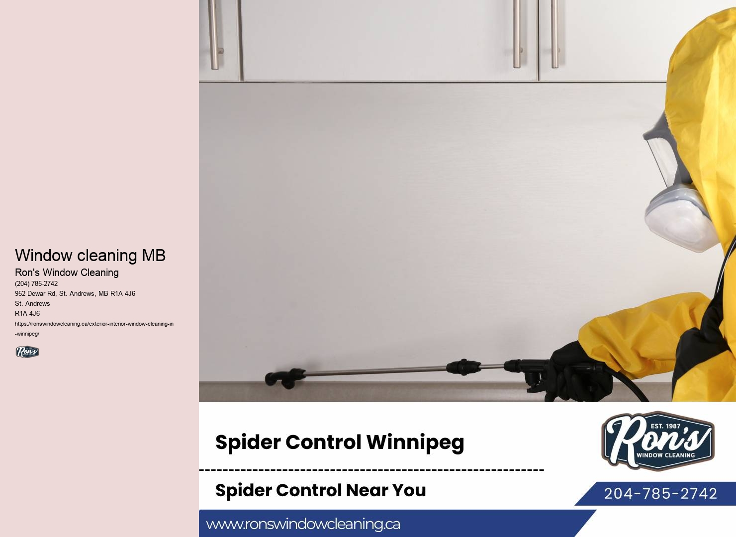 Window washing cost Winnipeg