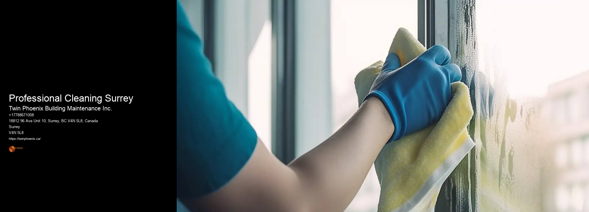 Professional Cleaning Surrey