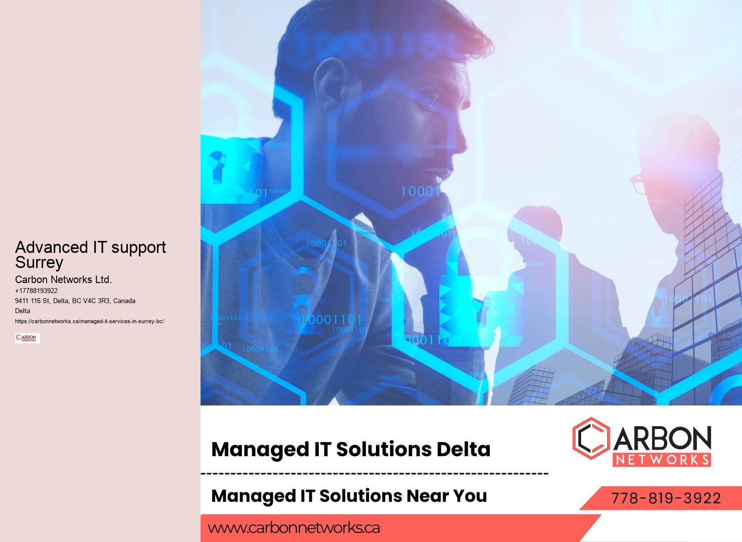 Surrey IT project consulting