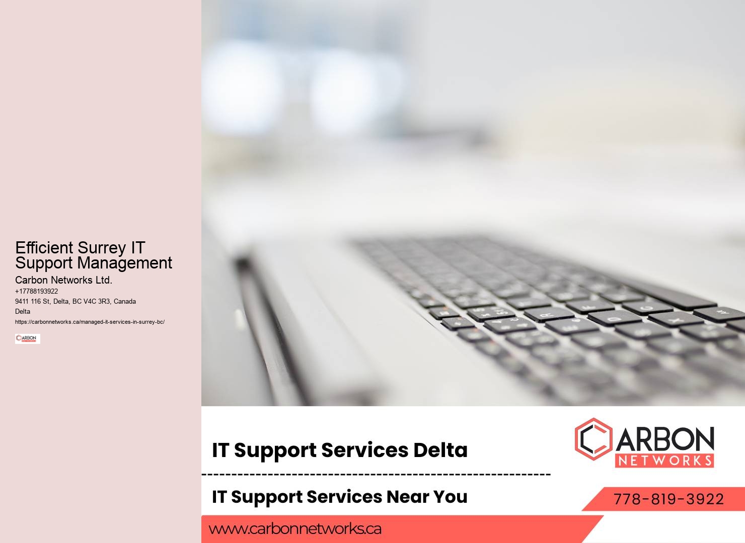 Professional Surrey IT Management