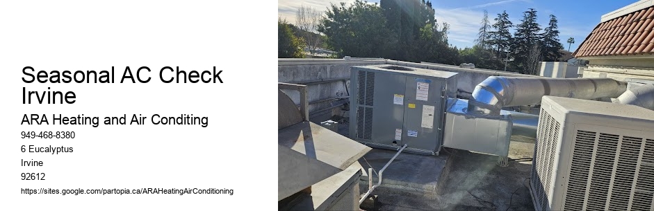 Seasonal AC Check Irvine