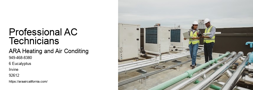 Professional AC Technicians