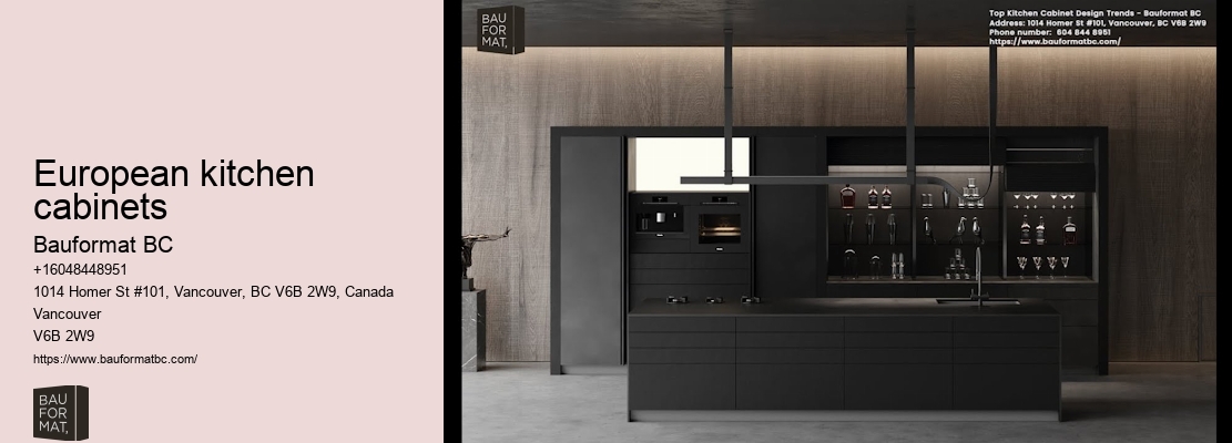 German Kitchen Cabinets Vancouver Storage Solutions