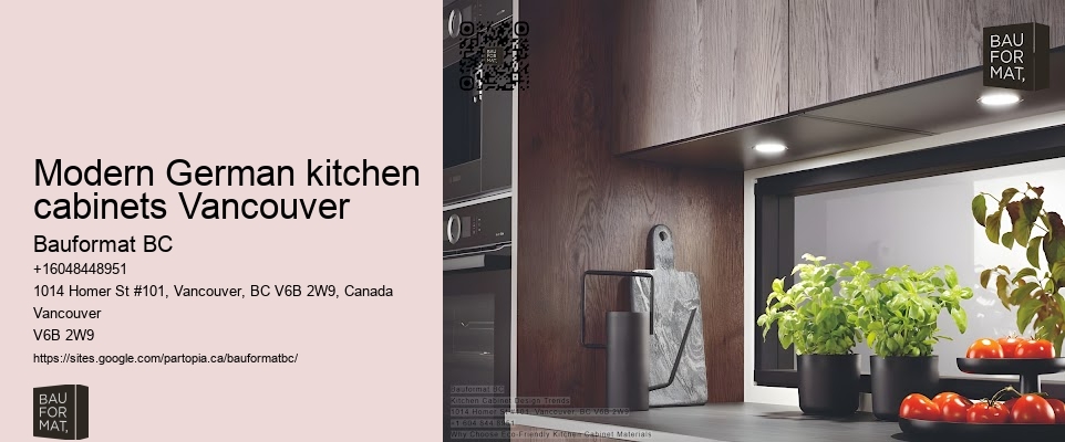 Modern German kitchen cabinets Vancouver
