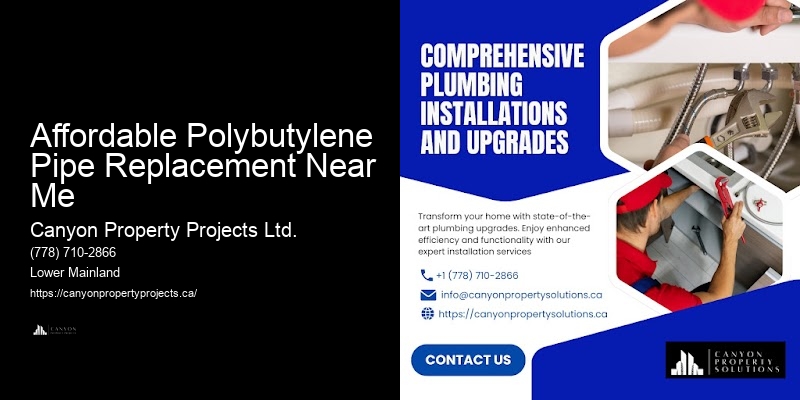 Cost-Effective Polybutylene Pipe Solutions Affordable Polybutylene Pipe Replacement Near Me