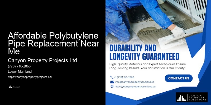 Polybutylene Plumbing Safety Guidelines Affordable Polybutylene Pipe Replacement Near Me