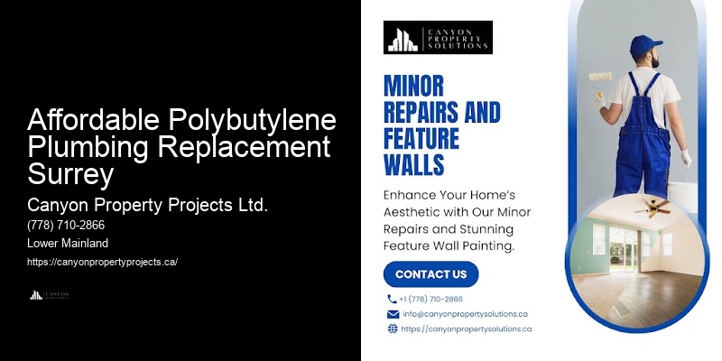 Expert Polybutylene Plumbing Affordable Polybutylene Plumbing Replacement Surrey