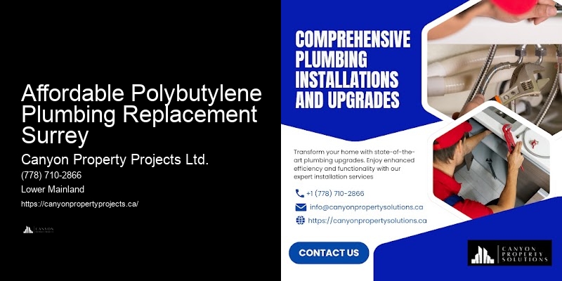 Polybutylene Plumbing Service Packages Affordable Polybutylene Plumbing Replacement Surrey