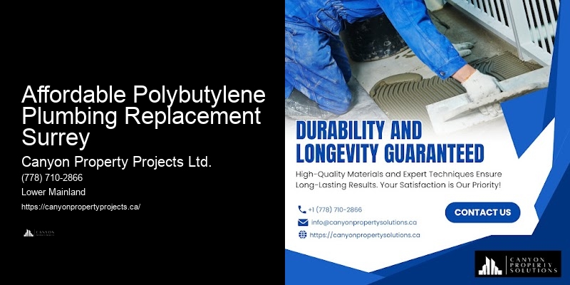 Best Practices for Polybutylene Pipe Replacement Affordable Polybutylene Plumbing Replacement Surrey
