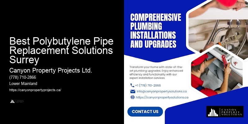 Polybutylene Pipe Leak Repair Near Me Best Polybutylene Pipe Replacement Solutions Surrey