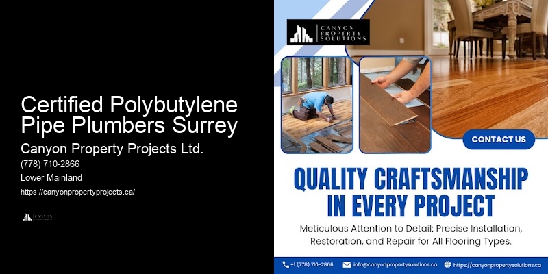 Polybutylene Pipe Replacement Consultation Certified Polybutylene Pipe Plumbers Surrey