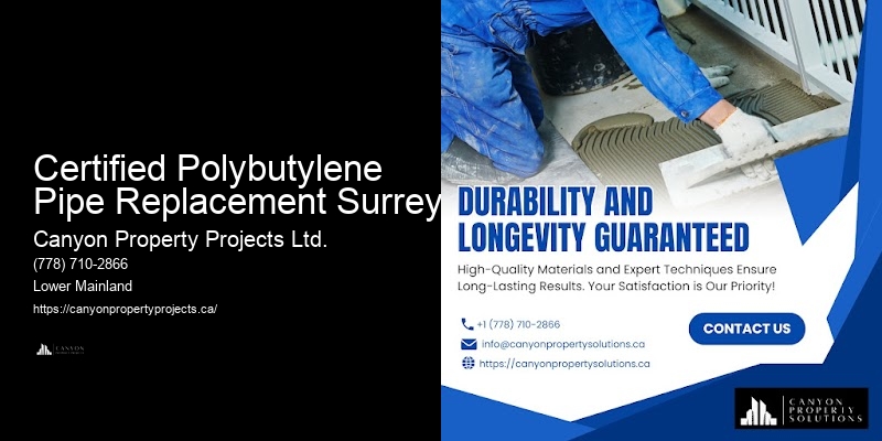 Polybutylene Pipe Inspection Services Certified Polybutylene Pipe Replacement Surrey