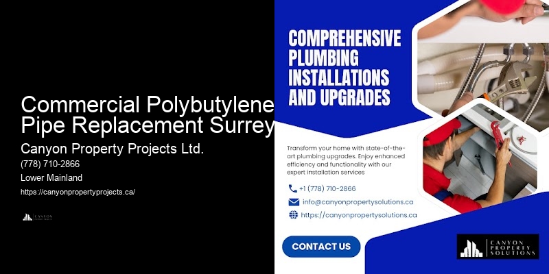 Preventative Maintenance for Polybutylene Pipes Commercial Polybutylene Pipe Replacement Surrey
