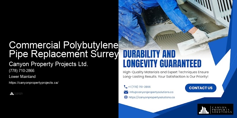 Comprehensive Plumbing for Polybutylene Pipes Commercial Polybutylene Pipe Replacement Surrey