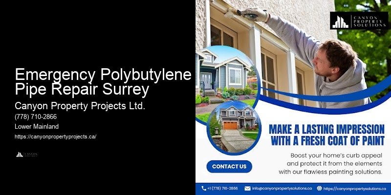 Polybutylene Pipe Assessment Emergency Polybutylene Pipe Repair Surrey