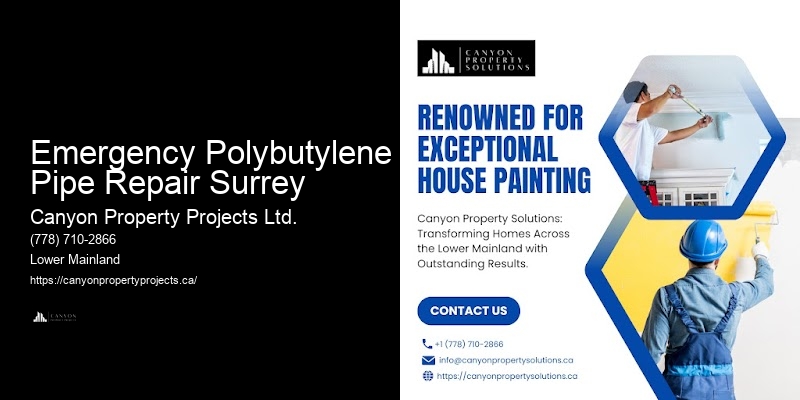 Polybutylene Plumbing Pipe Services Emergency Polybutylene Pipe Repair Surrey