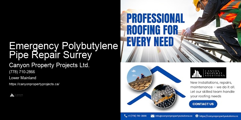 Home Value Increase with Polybutylene Replacement Emergency Polybutylene Pipe Repair Surrey