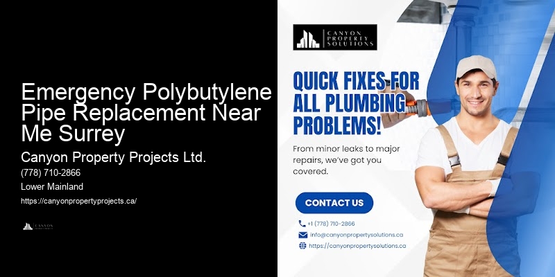 Emergency Polybutylene Pipe Replacement Near Me Surrey Polybutylene Pipe Replacement with Warranty