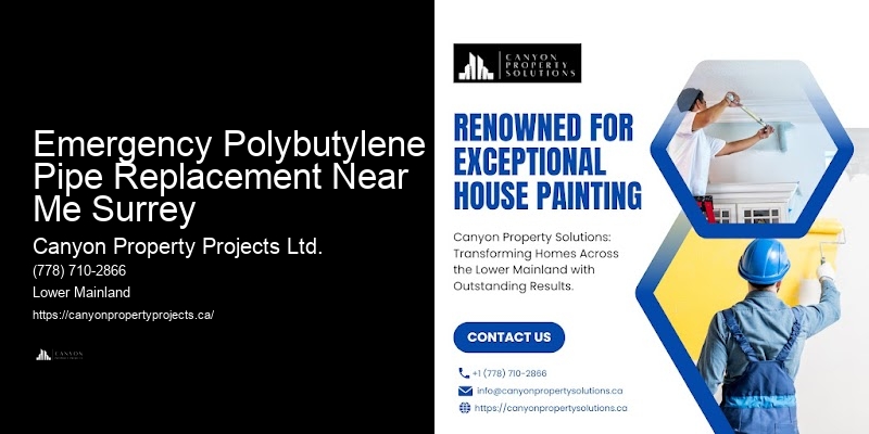 Polybutylene Pipe Replacement Guide Emergency Polybutylene Pipe Replacement Near Me Surrey