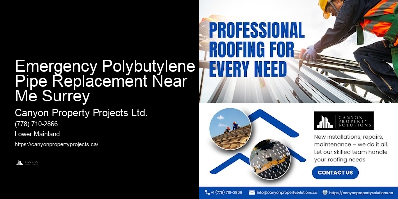 Experienced Polybutylene Plumbers Emergency Polybutylene Pipe Replacement Near Me Surrey