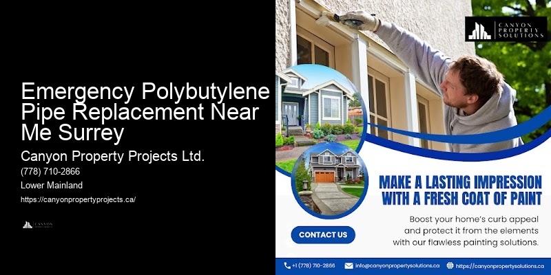 Best Value Polybutylene Pipe Replacement Emergency Polybutylene Pipe Replacement Near Me Surrey