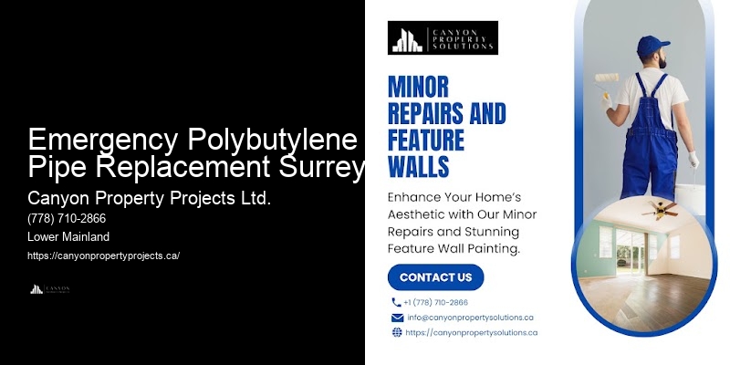 Comprehensive Polybutylene Pipe Services Emergency Polybutylene Pipe Replacement Surrey