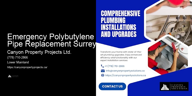 Polybutylene Pipe Inspections Emergency Polybutylene Pipe Replacement Surrey