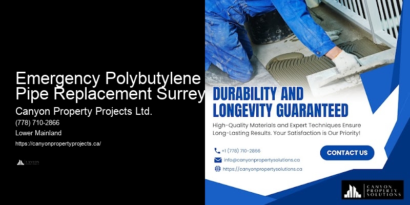 Polybutylene Pipe Installation Costs Emergency Polybutylene Pipe Replacement Surrey