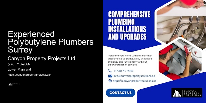 Expert Polybutylene Pipe Recommendations Experienced Polybutylene Plumbers Surrey