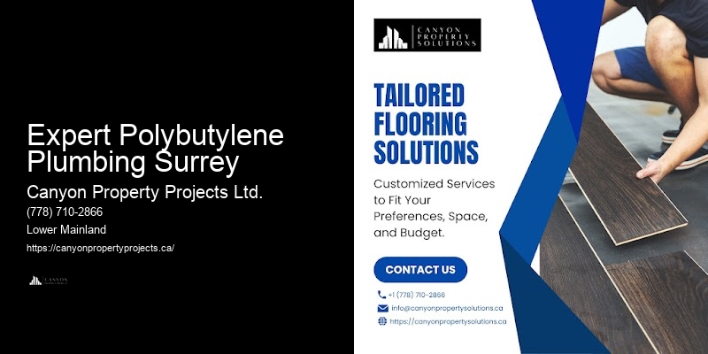 Polybutylene Pipe Replacement Consultation Services Expert Polybutylene Plumbing Surrey